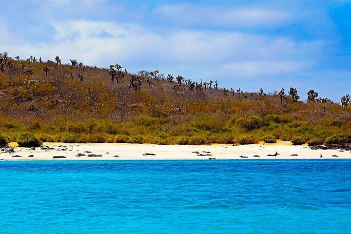 Snorkel Santa Fe Island & Playa Escondida — Galápagos Day Trip photo 6
