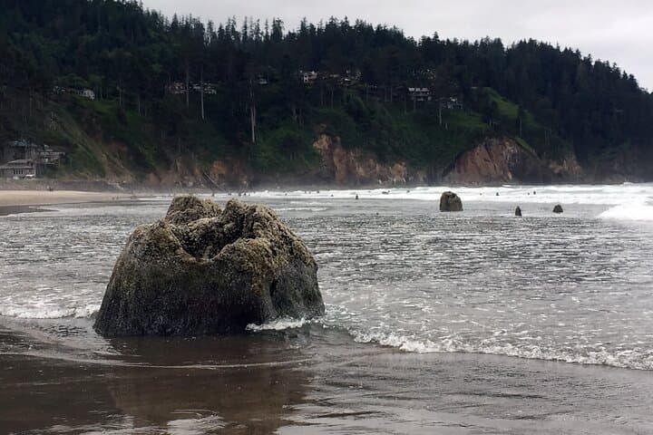 Three Capes Scenic Loop Day Trip — Cape Kiwanda, Cape Meares & Neskowin photo 3