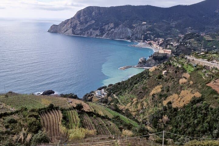 Cinque Terre & Pisa from Florence — Private 12‑Hour Limousine to Manarola and Pisa photo 6