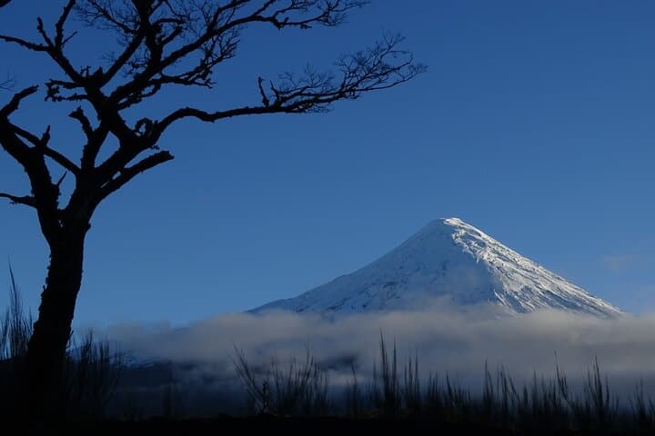 7-Day Private Circuit in Chile’s Los Lagos Region — Petrohué, Alerce Andino & Chiloé photo 3
