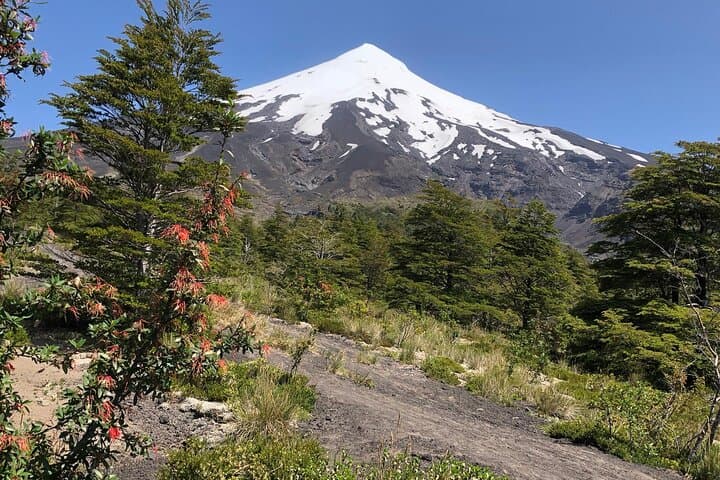 7-Day Private Circuit in Chile’s Los Lagos Region — Petrohué, Alerce Andino & Chiloé photo 4