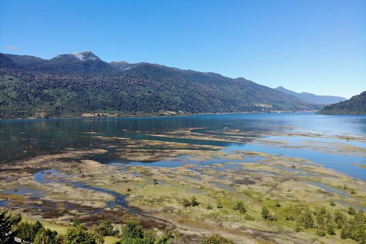 7-Day Private Circuit in Chile’s Los Lagos Region — Petrohué, Alerce Andino & Chiloé photo 6