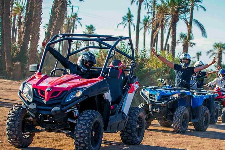 Marrakech Palmeraie Buggy Tour: 3-Hour Off-Road Adventure in the Desert