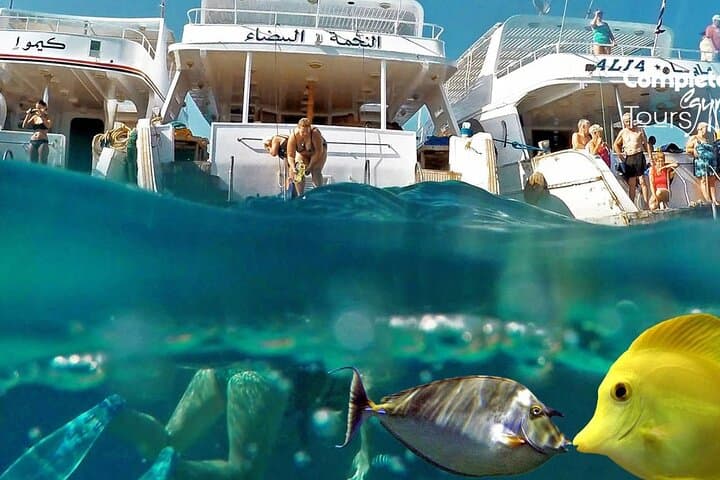 Full-Day Orange Bay VIP Snorkel Trip from Hurghada photo 6