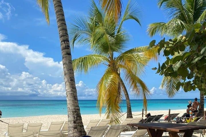 Saona Island Private Day Trip from Punta Cana: Natural Pool, Mangroves & Snorkeling photo 1