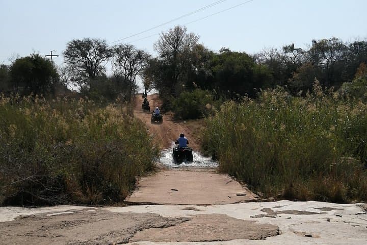 9-Day Private Safari & Panorama Tour — Kruger, Blyde River Canyon & Hoedspruit photo 6