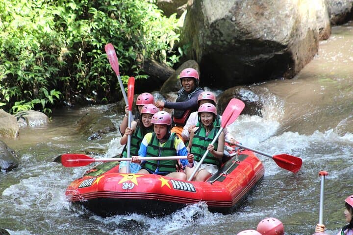 Ayung River Rafting in Ubud: 3-Hour Whitewater Adventure with Tegalalang & Lunch photo 6