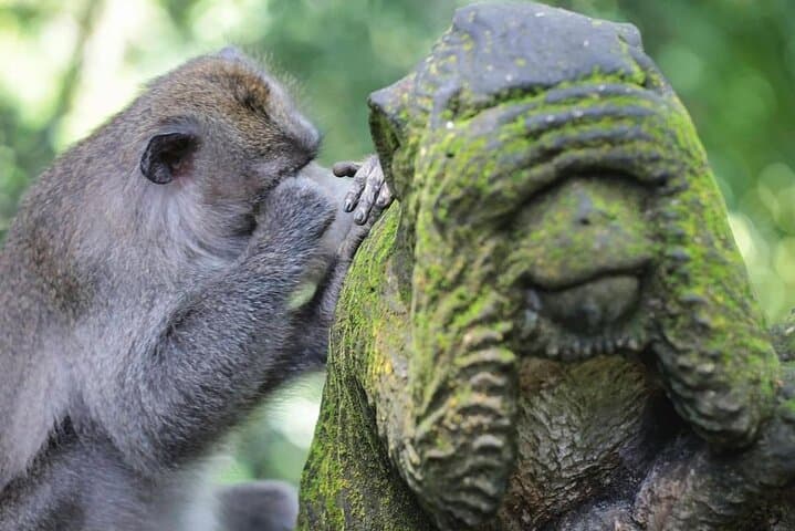 Ubud Private Tour: Sightseeing, Monkey Forest & Tegenungan Waterfall Day Trip photo 2