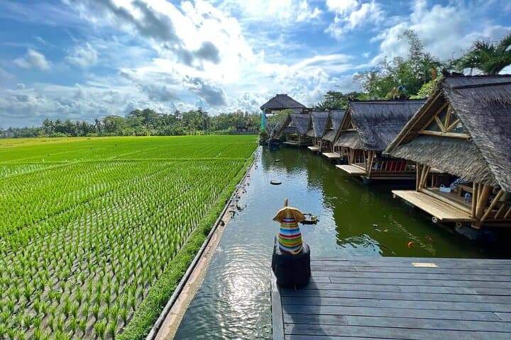 Ubud Private Tour: Sightseeing, Monkey Forest & Tegenungan Waterfall Day Trip photo 3