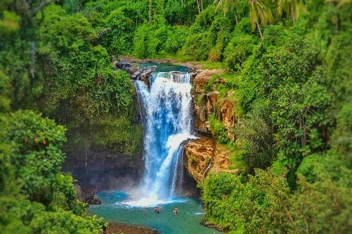 Ubud Private Tour: Sightseeing, Monkey Forest & Tegenungan Waterfall Day Trip photo 4