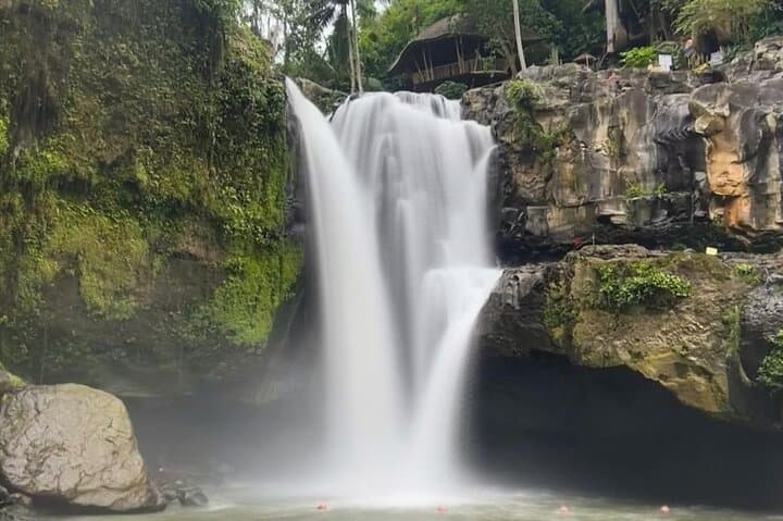 Ubud Private Tour: Sightseeing, Monkey Forest & Tegenungan Waterfall Day Trip photo 5