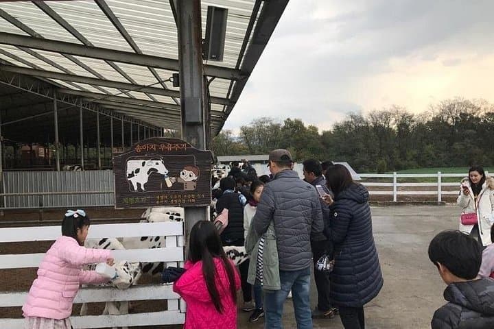 VIP Private Dairy Experience Tour near Seoul — Farm Visit with Fireflies & Wildlife photo 2