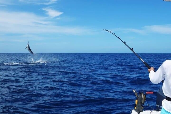 Half-Day Private Game Fishing Charter & Sightseeing from Muscat photo 6
