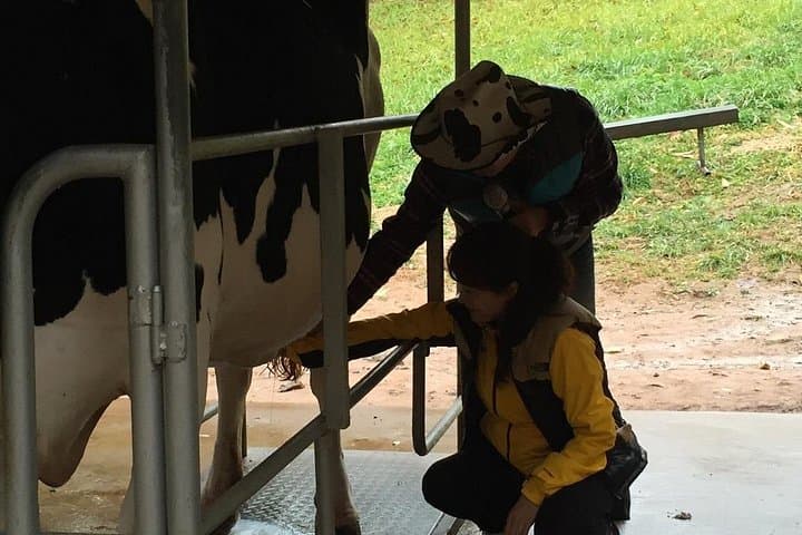 VIP Private Dairy Experience Tour near Seoul — Farm Visit with Fireflies & Wildlife photo 3