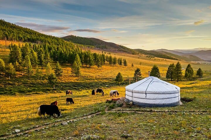 Private 8-Day Mongolia Tour: Gobi Dunes, Orkhon Valley & Nomadic Life