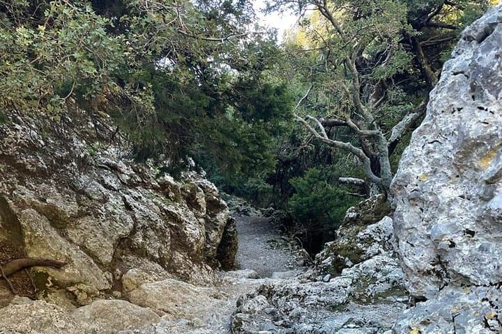 Hiking Imbros Gorge: A Private Day Hike from Chania photo 5