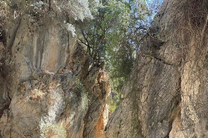Hiking Imbros Gorge: A Private Day Hike from Chania photo 6