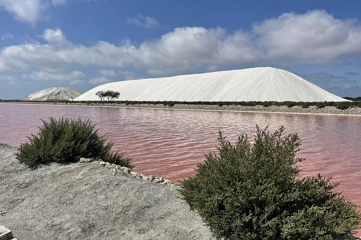 Camargue Day Trip: Aigues-Mortes, Salt Pans & Saintes-Maries-de-la-Mer