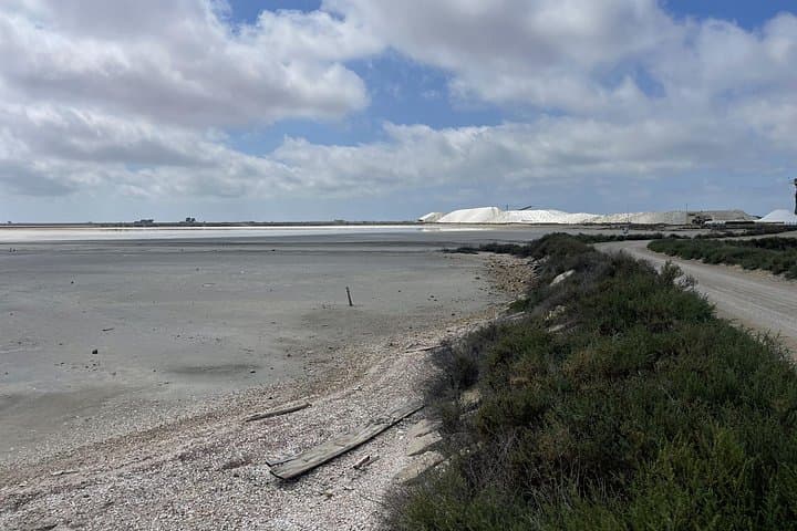 Camargue Day Trip: Aigues-Mortes, Salt Pans & Saintes-Maries-de-la-Mer photo 2