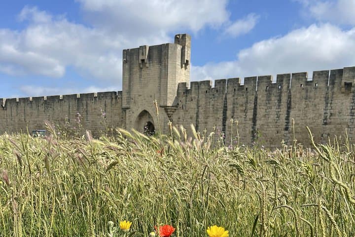 Camargue Day Trip: Aigues-Mortes, Salt Pans & Saintes-Maries-de-la-Mer photo 3