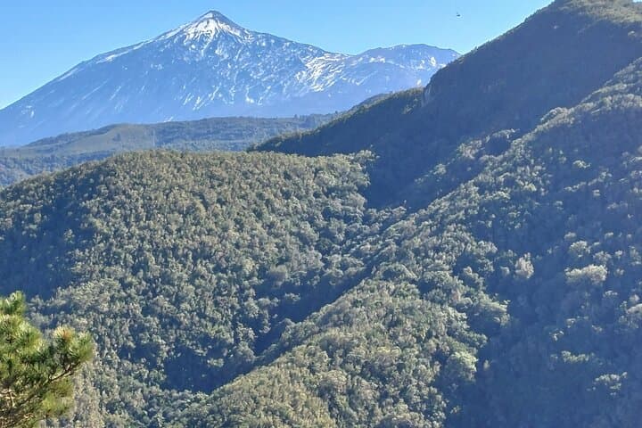 Teno Panorama Hike: 9 km Guided Route Through Tenerife's Rural Park photo 5