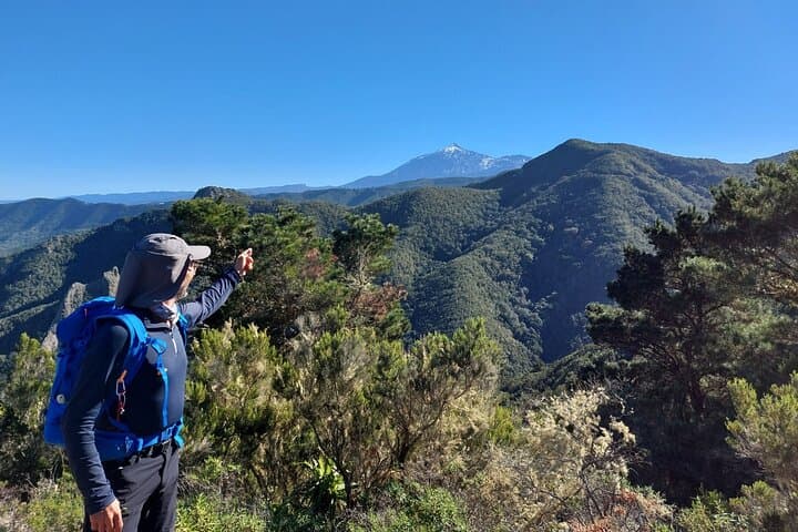 Teno Panorama Hike: 9 km Guided Route Through Tenerife's Rural Park photo 4
