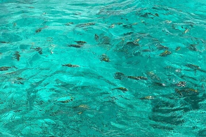 Negril & Rick's Cafe Sunset Tour — Boat Ride, Snorkel and Cliff-Dive Experience photo 3