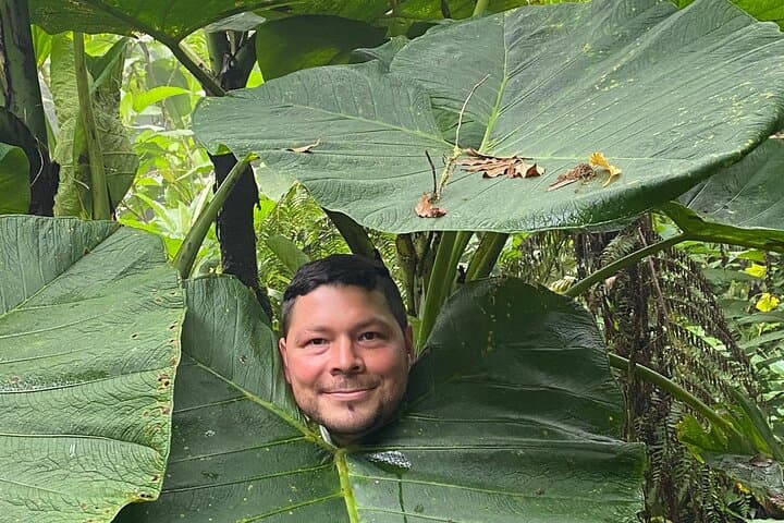 Monteverde Cloud Forest Tour: Guided Wildlife Walk to See Quetzals photo 2