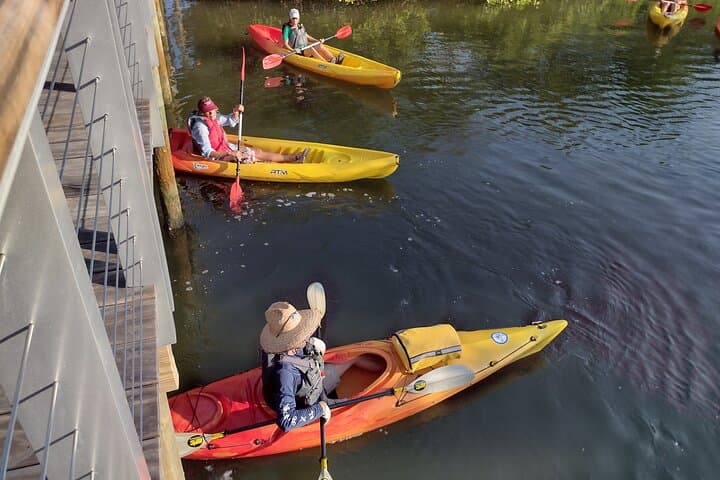 Paddle the Restored Mangrove Bayou: Kayak Tours from The Bay Park, Sarasota photo 5
