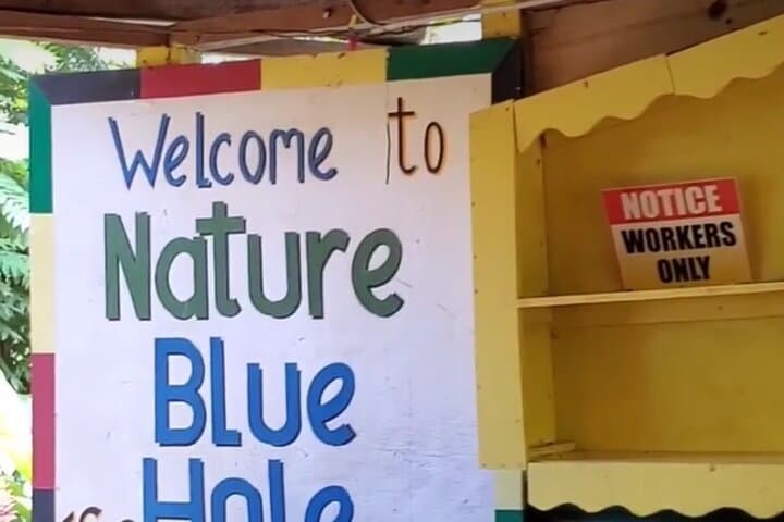 Private Dunn's River Falls and Blue Hole Tour from Montego Bay — Swim, Climb & Rope-Swing photo 5