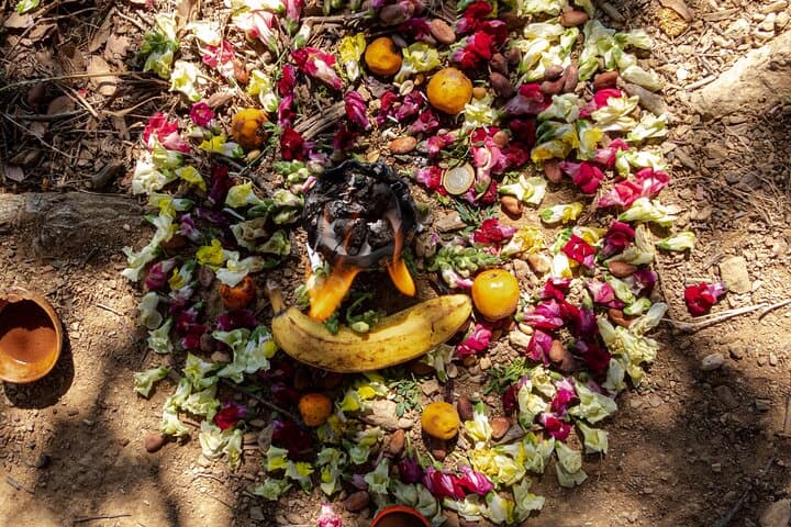 Oaxaca Mountain Hike and Rituals — Panorama, Cacao & Nature Bath photo 3