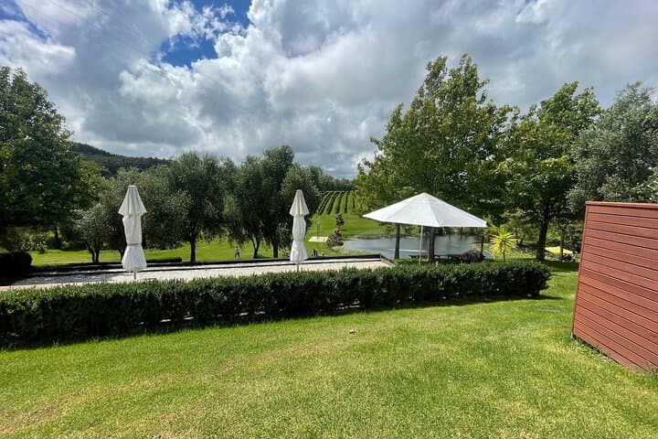 Kumeu Wine Tour: Muriwai Gannets, Kumeu Vineyards & Tasting Day Trip photo 2