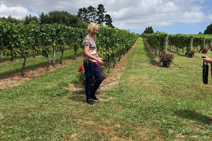 Kumeu Wine Tour: Muriwai Gannets, Kumeu Vineyards & Tasting Day Trip photo 4