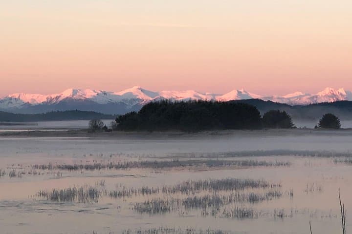 Juneau Private 3-Hour Scenic Road Trip: Mendenhall Glacier, Wildlife & Views photo 4