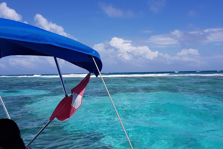 Snorkel Hol Chan, Shark Ray Alley & Caye Caulker — Full-Day Reef, Shark and Manatee Experience photo 4