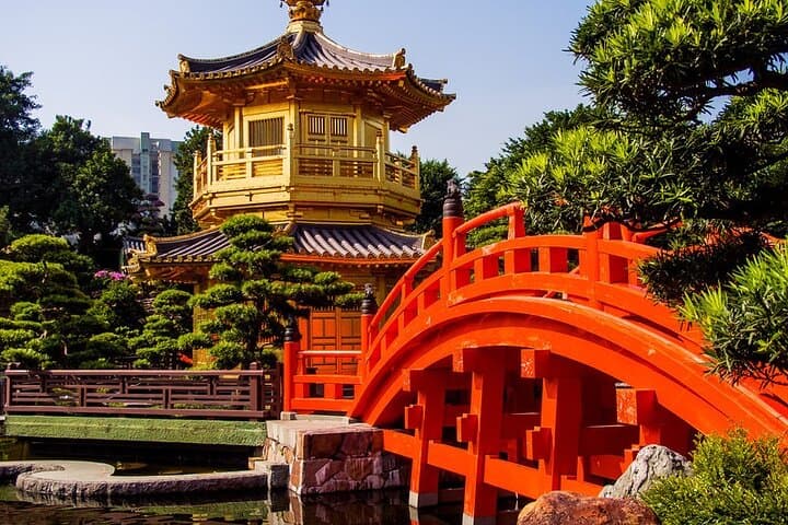 Authentic Hong Kong Private Walking Tour: Markets, Mid-Levels & Local Views photo 4