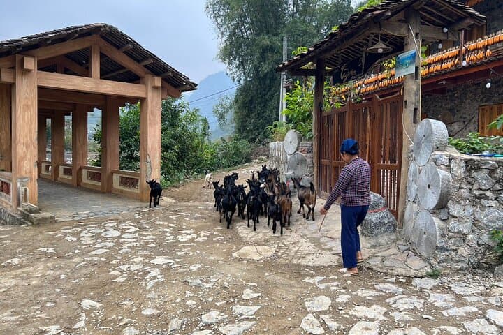 Trekking Ban Gioc Waterfall to Hidden Village — 2-Day Cultural Trek in Cao Bang photo 2