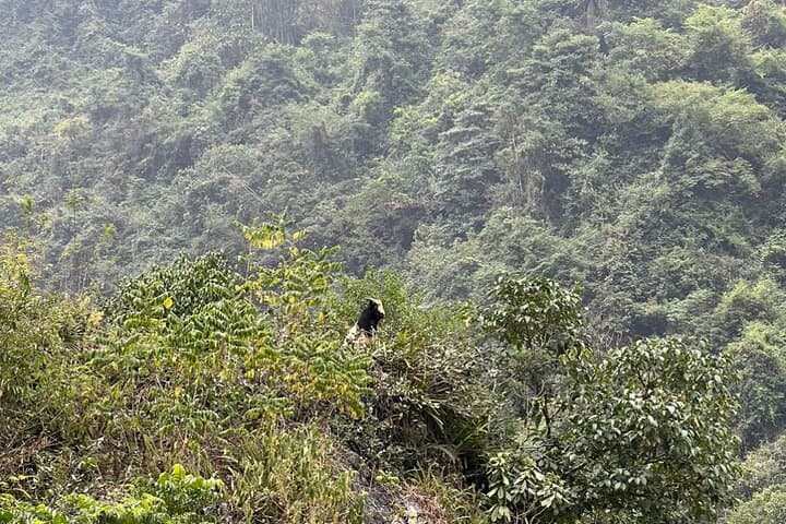 Trekking Ban Gioc Waterfall to Hidden Village — 2-Day Cultural Trek in Cao Bang photo 3