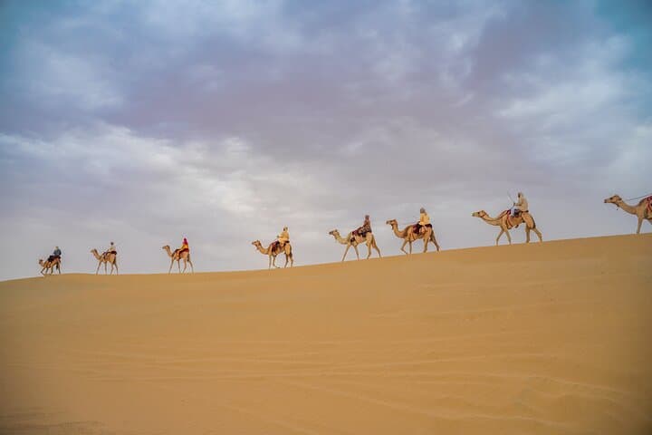 Sunset Camel Trekking in Dubai's Red Dunes (Lahbab Desert) photo 4