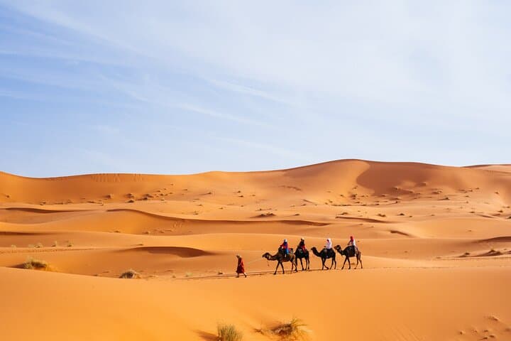 Sunset Camel Trekking in Dubai's Red Dunes (Lahbab Desert) photo 6