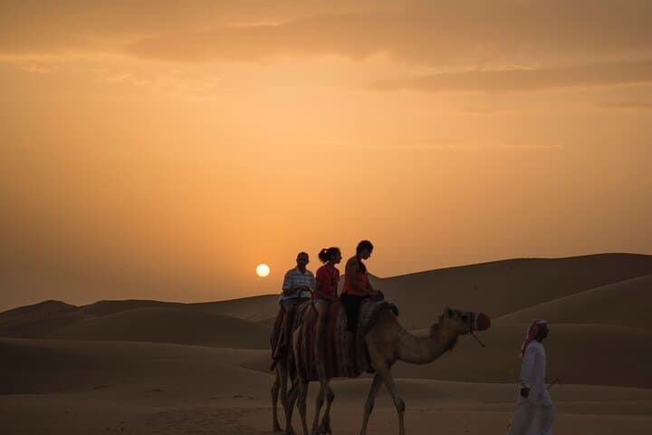 Sunset Camel Trekking in Dubai's Red Dunes (Lahbab Desert) photo 3