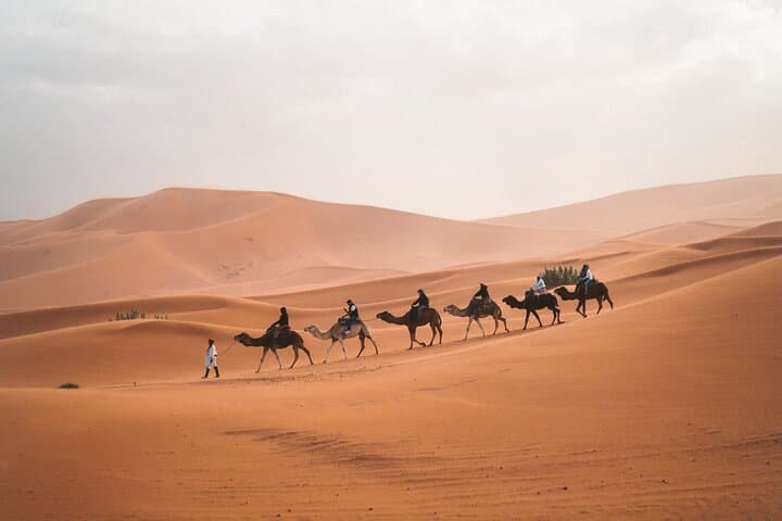Sunset Camel Trekking in Dubai's Red Dunes (Lahbab Desert) photo 2