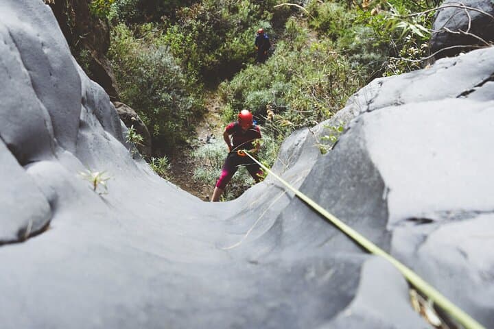 Canyoning in Tenerife South: Basalt Canyons, Rappels & Canary Pines photo 4
