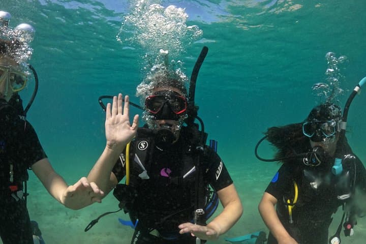 PADI Scuba Diver Course Athens: Boat Dives to Patroklos, Legrena & Arsidas photo 4