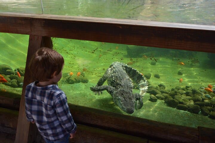 Inside Terra Natura Benidorm: Summer Zooimmersion Ticket Guide photo 6