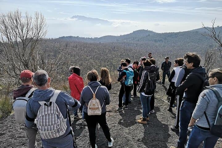 Mount Vesuvius Tour from Ercolano — Skip-the-Line Bus and Crater Walk photo 2