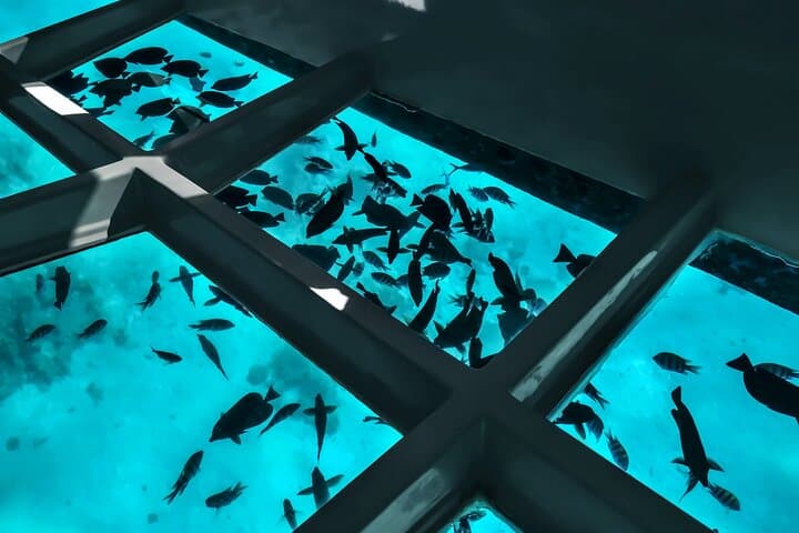 Private Glass-Bottom Boat Tour in Aqaba — 2–5 Hour Red Sea Coral & Wreck Experience photo 4