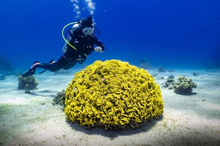 Private Glass-Bottom Boat Tour in Aqaba — 2–5 Hour Red Sea Coral & Wreck Experience photo 5