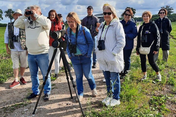 Half-Day Birdwatching Safari at Vente Cape — Nemunas Delta from Kintai photo 4