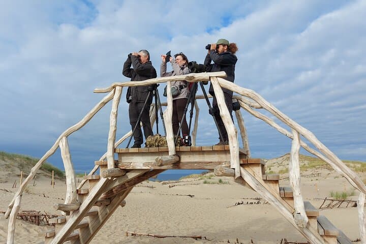Half-Day Birdwatching Safari at Vente Cape — Nemunas Delta from Kintai photo 5